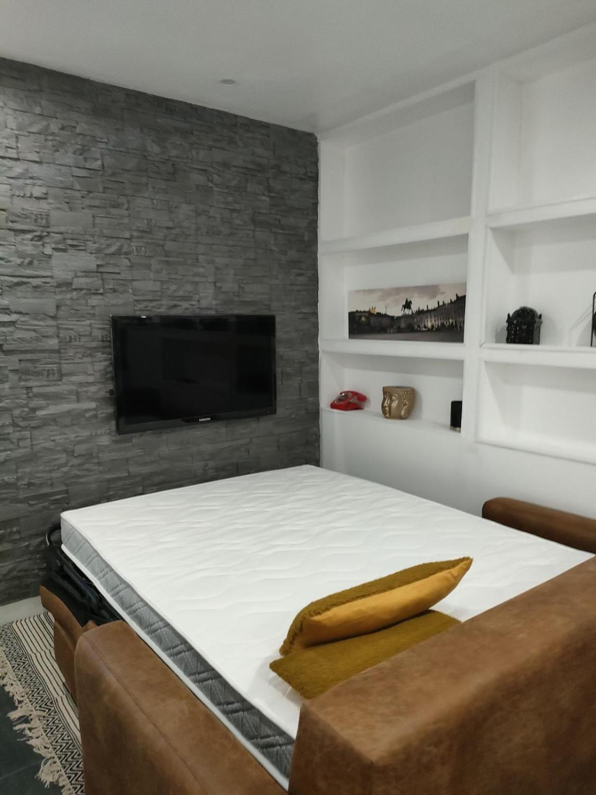 Апартаменти Le Petit Cocon - Parking Prive - Lyon Sud Венісьє Екстер'єр фото
