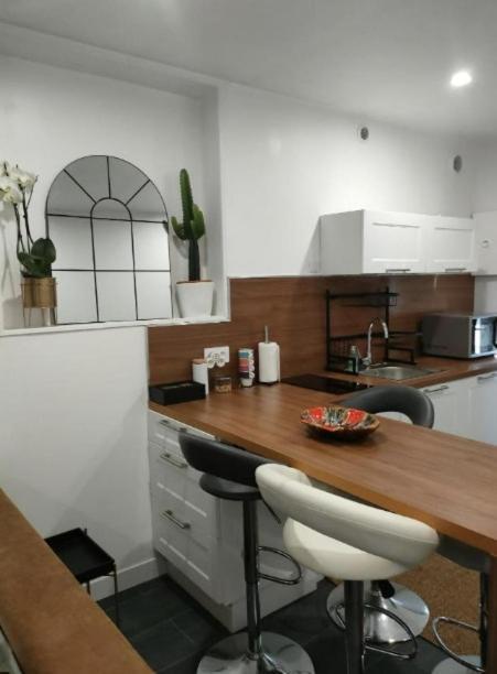 Апартаменти Le Petit Cocon - Parking Prive - Lyon Sud Венісьє Екстер'єр фото